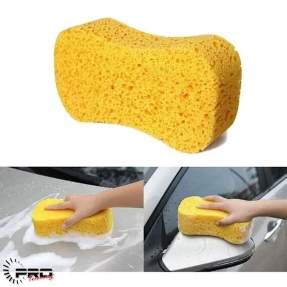 Car Wash - AB Sponge